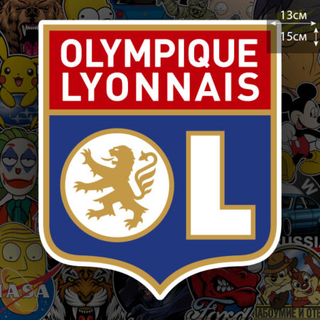 Olympique Lione Retrocesso in Ligue 2 per Problemi Economici