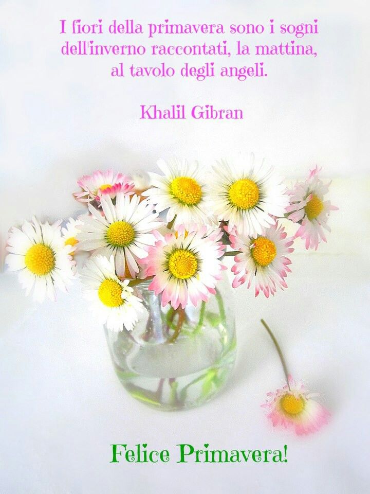 Preview Lulli della Roma Primavera: «Felice per l’assist, ma dovevamo chiudere la partita»