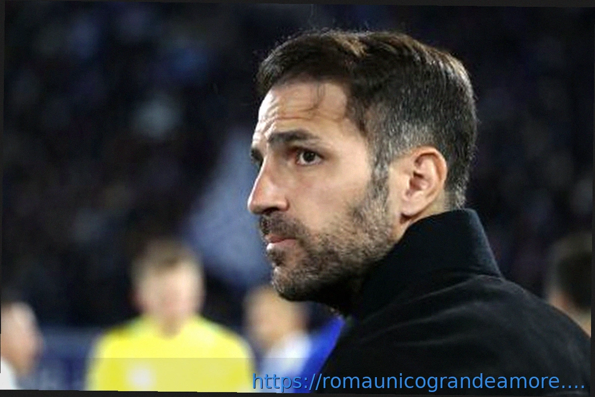 Preview Fabregas: «Mi hanno contattato, ma non mi vedo in un club diverso dal Como»